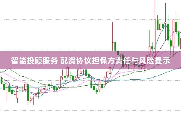 智能投顾服务 配资协议担保方责任与风险提示