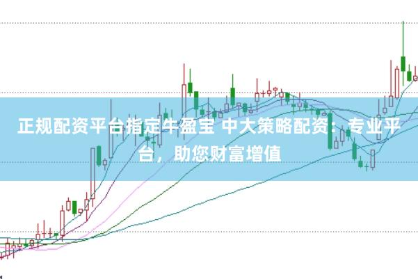 正规配资平台指定牛盈宝 中大策略配资：专业平台，助您财富增值