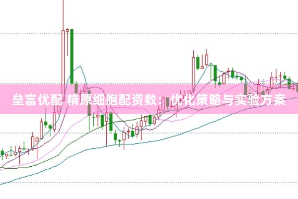 垒富优配 精原细胞配资数：优化策略与实验方案