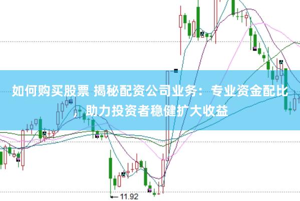 如何购买股票 揭秘配资公司业务：专业资金配比，助力投资者稳健扩大收益