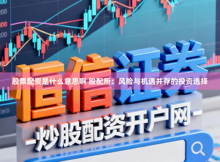 股票配资是什么意思啊 股配所：风险与机遇并存的投资选择