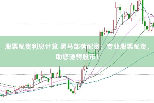 股票配资利息计算 黑马部落配资：专业股票配资，助您驰骋股市！