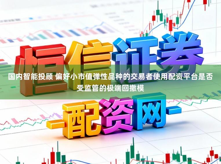 国内智能投顾 偏好小市值弹性品种的交易者使用配资平台是否受监管的极端回撤模