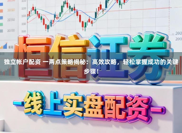 独立帐户配资 一两点策略揭秘：高效攻略，轻松掌握成功的关键步骤！